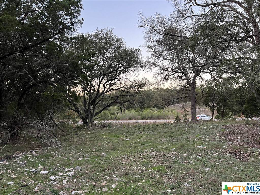 New Braunfels, TX 78132,241 Longwood