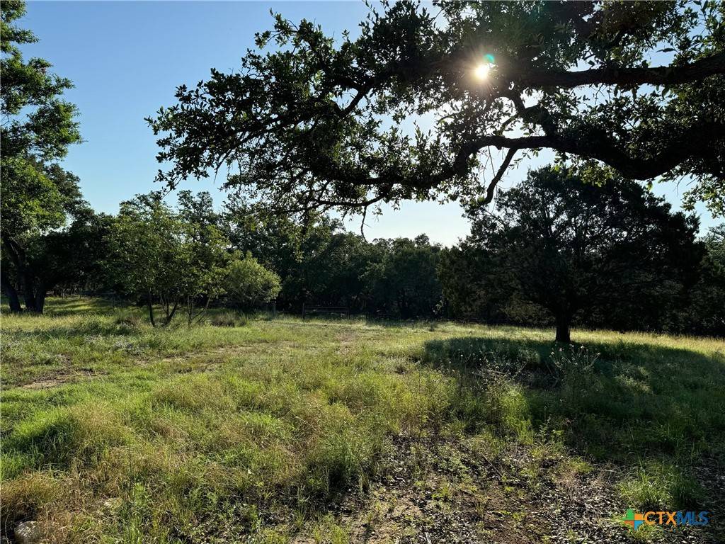 Wimberley, TX 78676,215 Ranch House RD