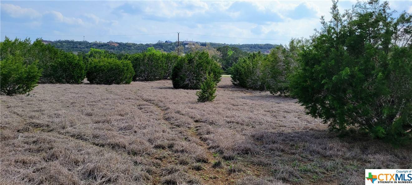 Fischer, TX 78623,122 Liberty Bell LN