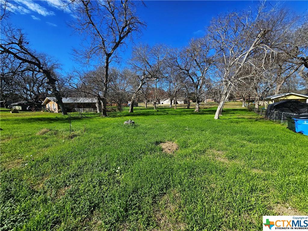 Seguin, TX 78155,TBD Chaparral DR