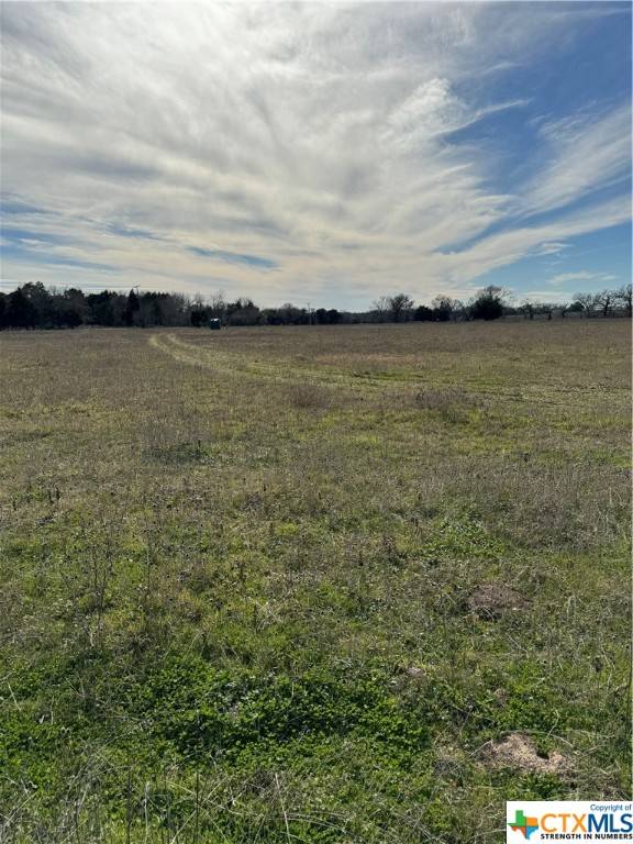Kingsbury, TX 78638,6617 Gander Slough RD