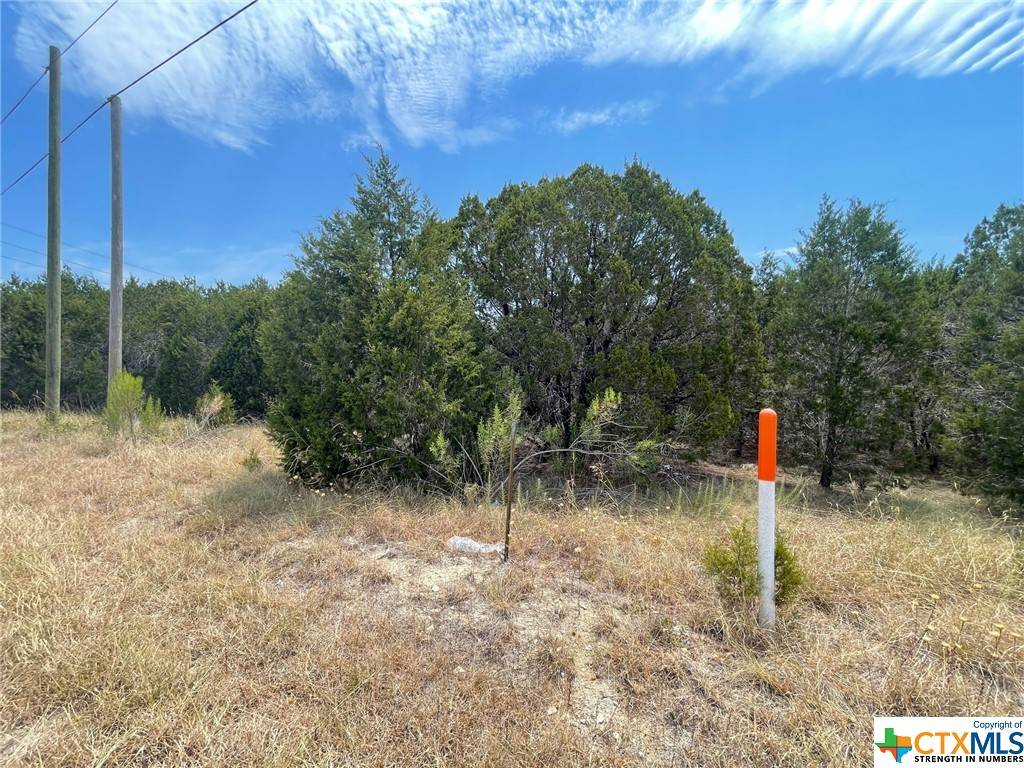 Killeen, TX 76542,15726 S Fort Hood ST