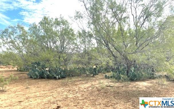 Jourdanton, TX 78026,01 County Road 329