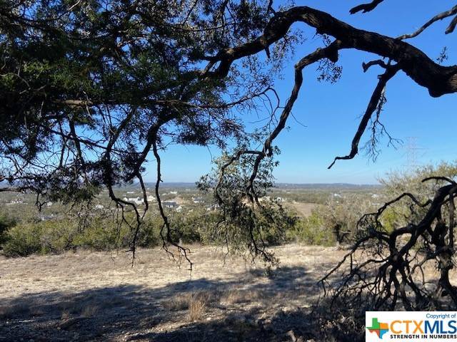 Bulverde, TX 78163,34788 Ansley Ridge TRL