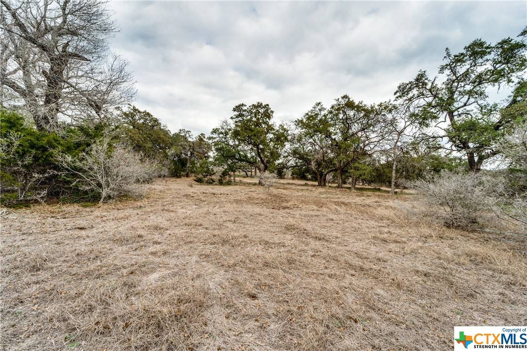 Spring Branch, TX 78070,166 Gauntlet DR