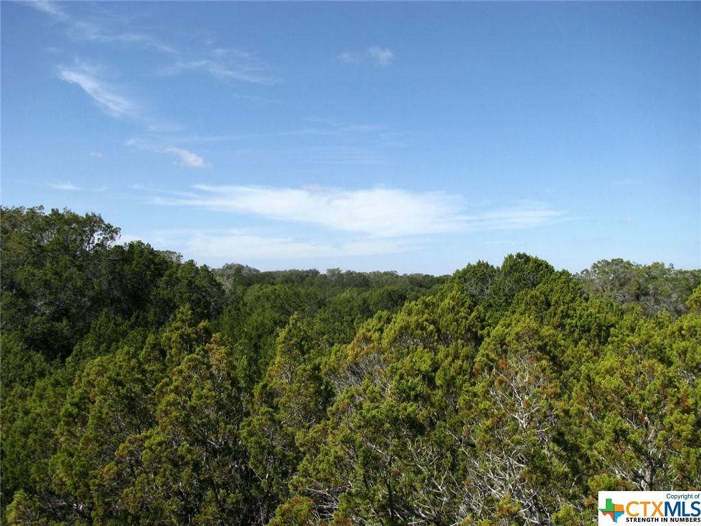 Evant, TX 76525,Lot 42 Ph 4 PR 42129