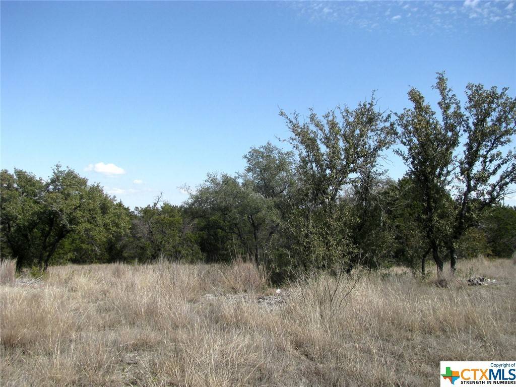 Evant, TX 76525,Lot 42 Ph 4 PR 42129