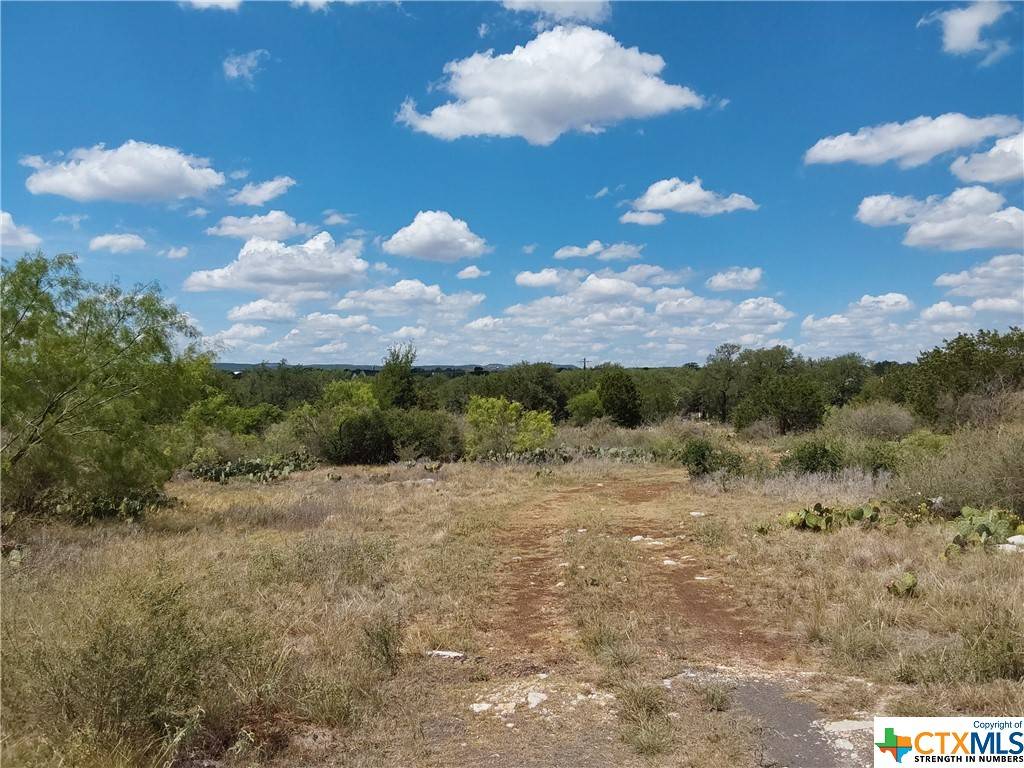 Spicewood, TX 78669,LOT 201 SUNDANCE VIEW PT