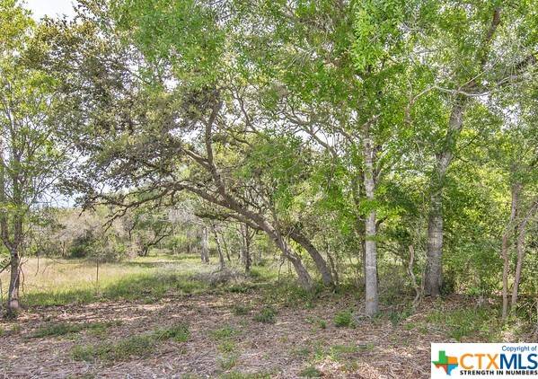Edna, TX 77957,Tract 2 FM 530