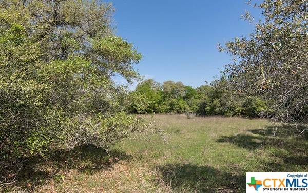 Edna, TX 77957,Tract 4 Fm 530