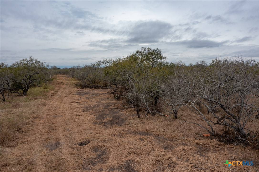 Goliad, TX 77963,TBD McCampbell - Tract F