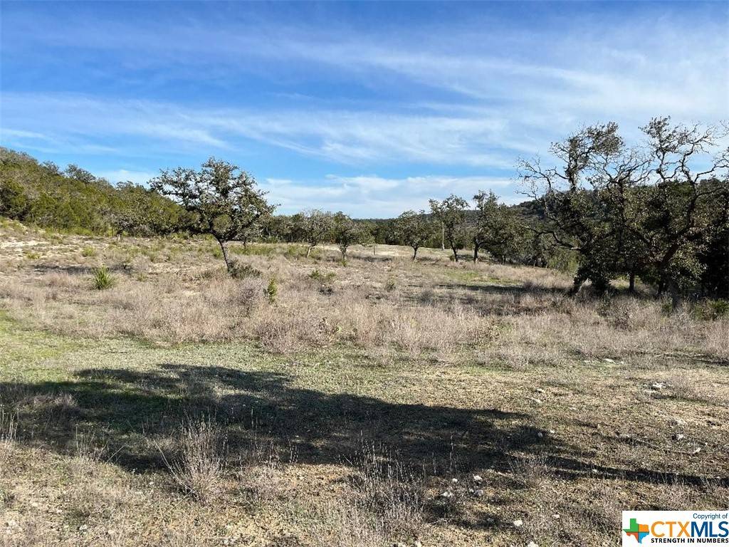 Canyon Lake, TX 78133,229 Lois LN