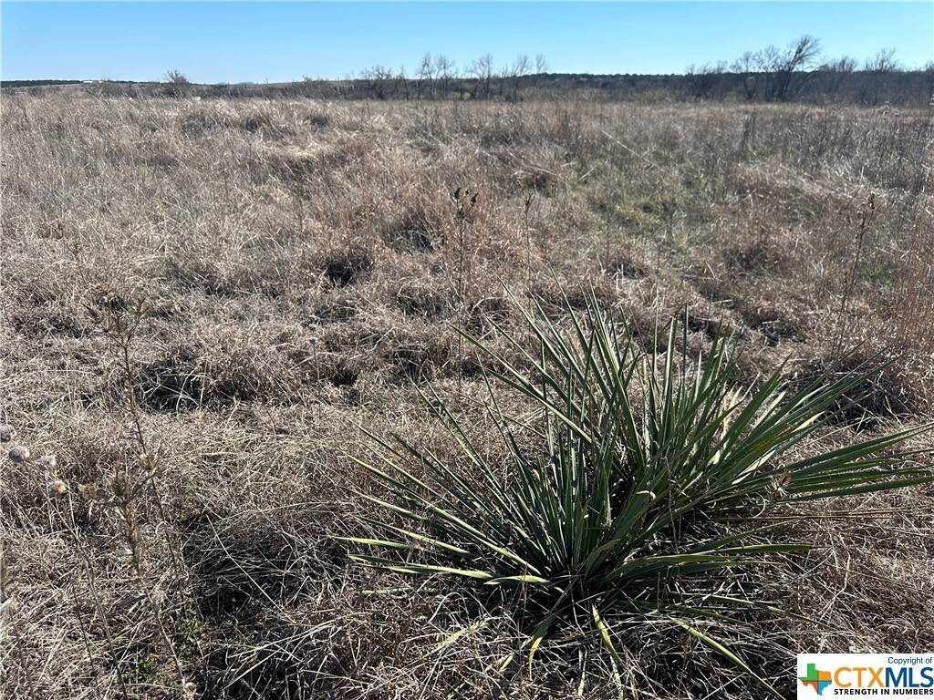Copperas Cove, TX 76522,4595 Harmon RD