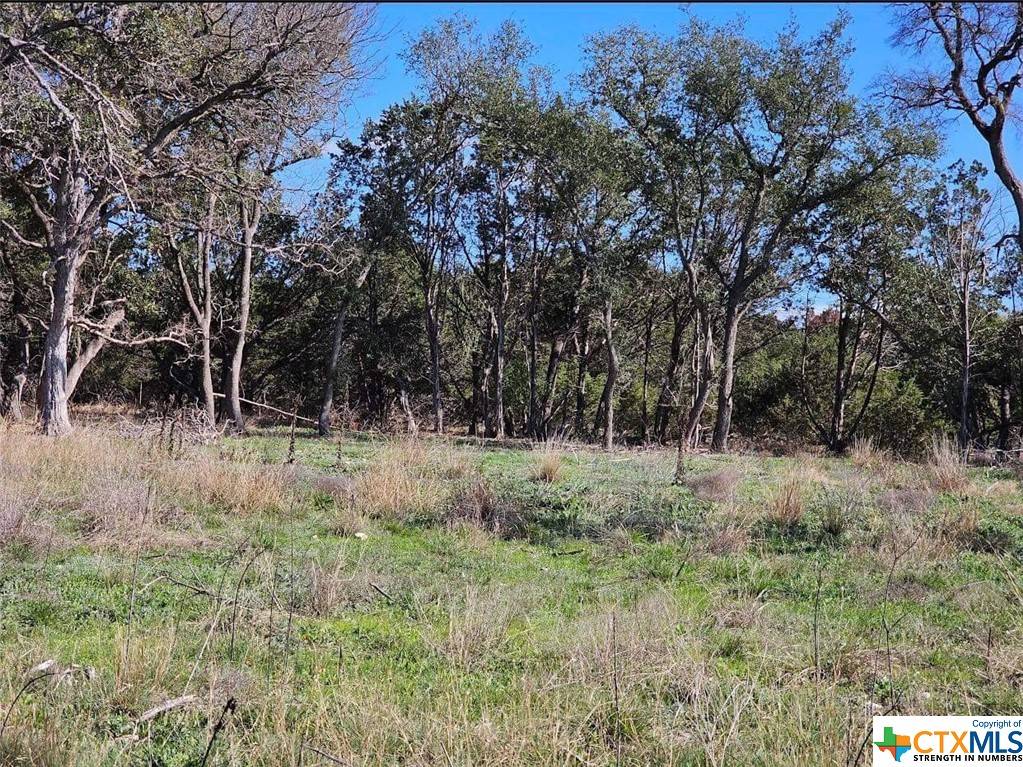 Lampasas, TX 76550,TBD County Rd 230