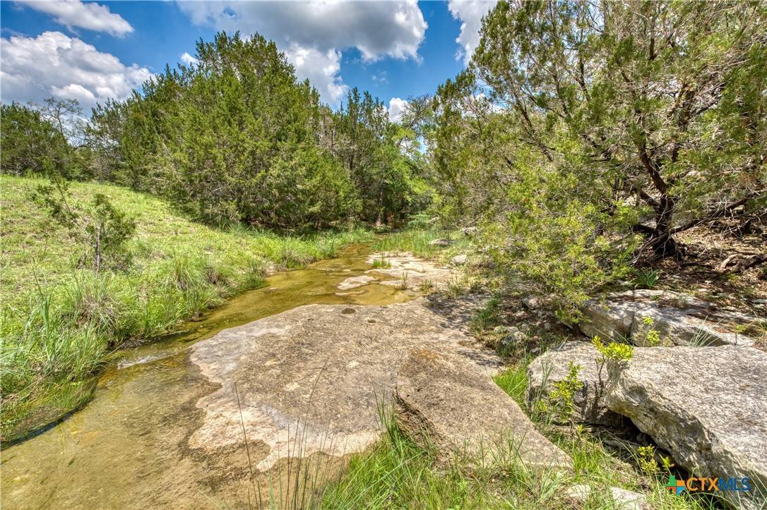 Briggs, TX 78608,Tract 9A-2 Miller Creek Blf