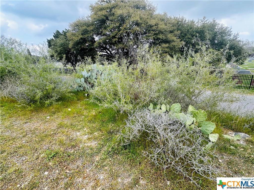 New Braunfels, TX 78130,460 Peace AVE