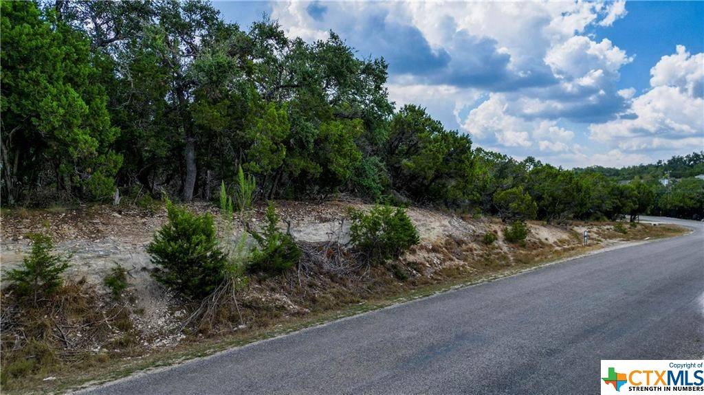 Canyon Lake, TX 78133,565 Buck Run PASS