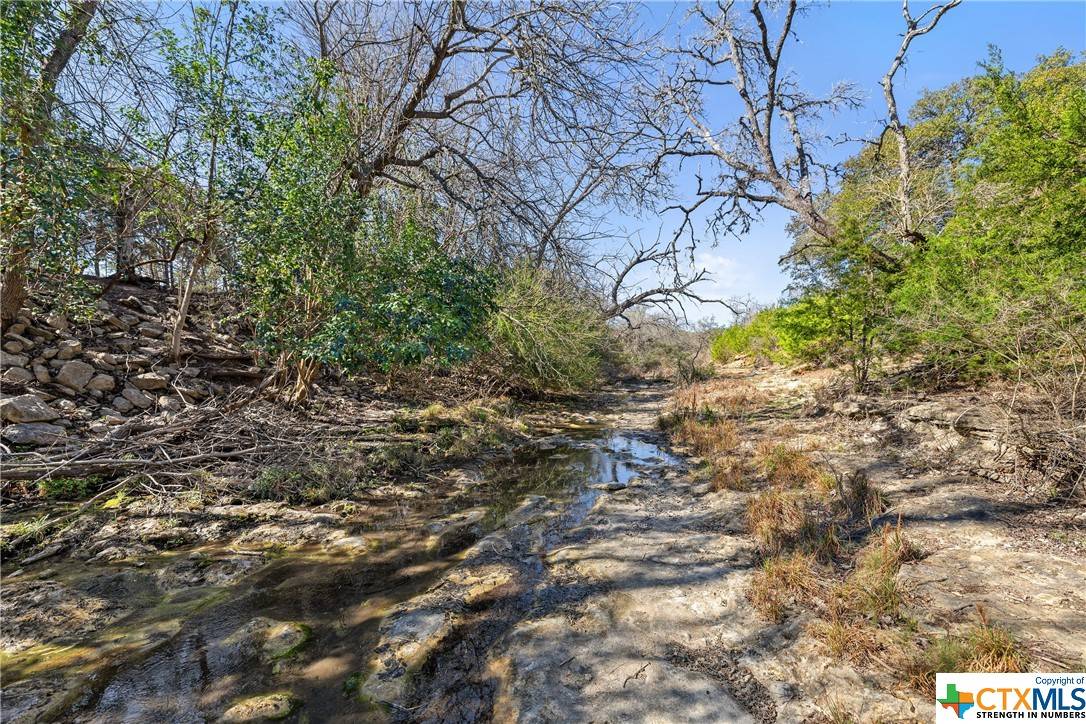 Blanco, TX 78606,111 La Luna DR