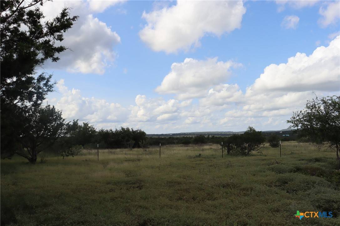 Johnson City, TX 78636,1619 Althaus RD