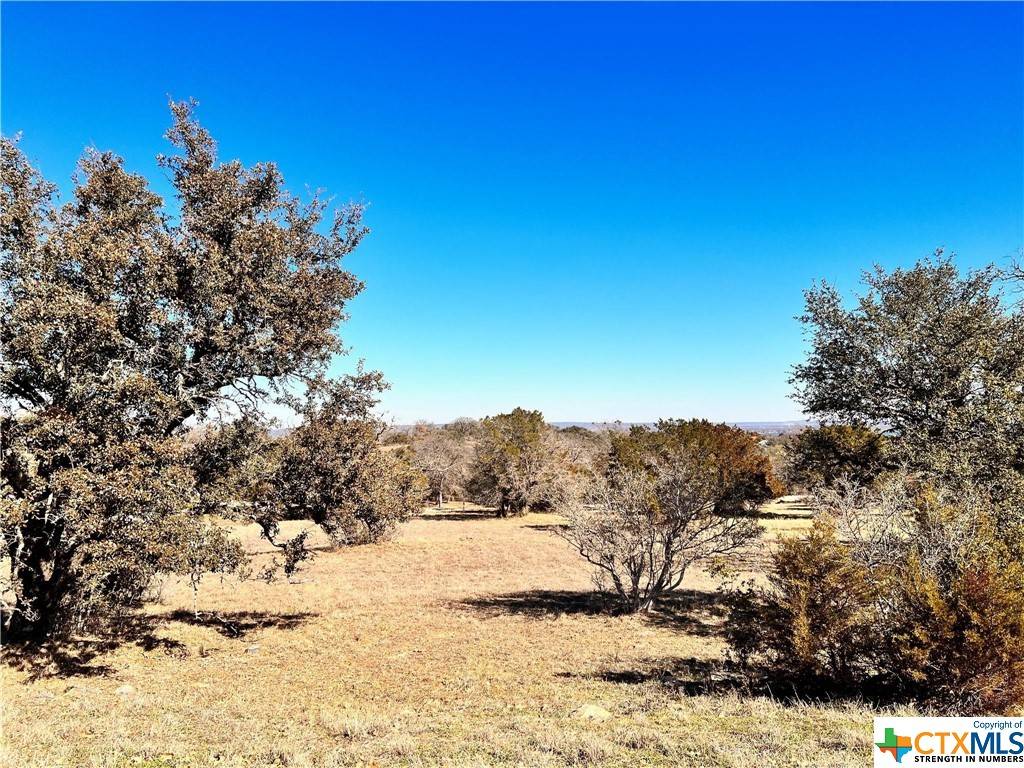 Horseshoe Bay, TX 78657,106 Cactus CYN