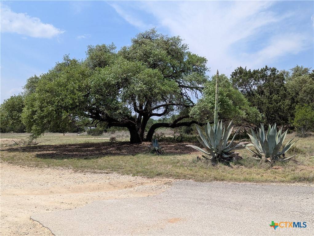 San Marcos, TX 78666,Address not disclosed