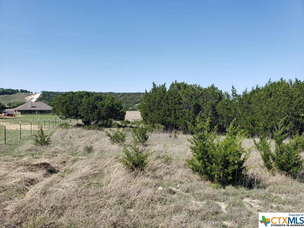 Kempner, TX 76539,Lot 9 Cottonwood Mesa DR