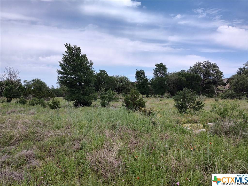 Spicewood, TX 78669,105 Rocky Summit CT