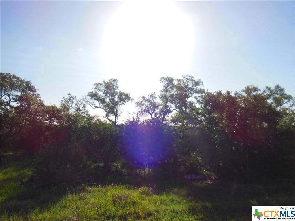 New Braunfels, TX 78132,5732 Copper Forest FRST