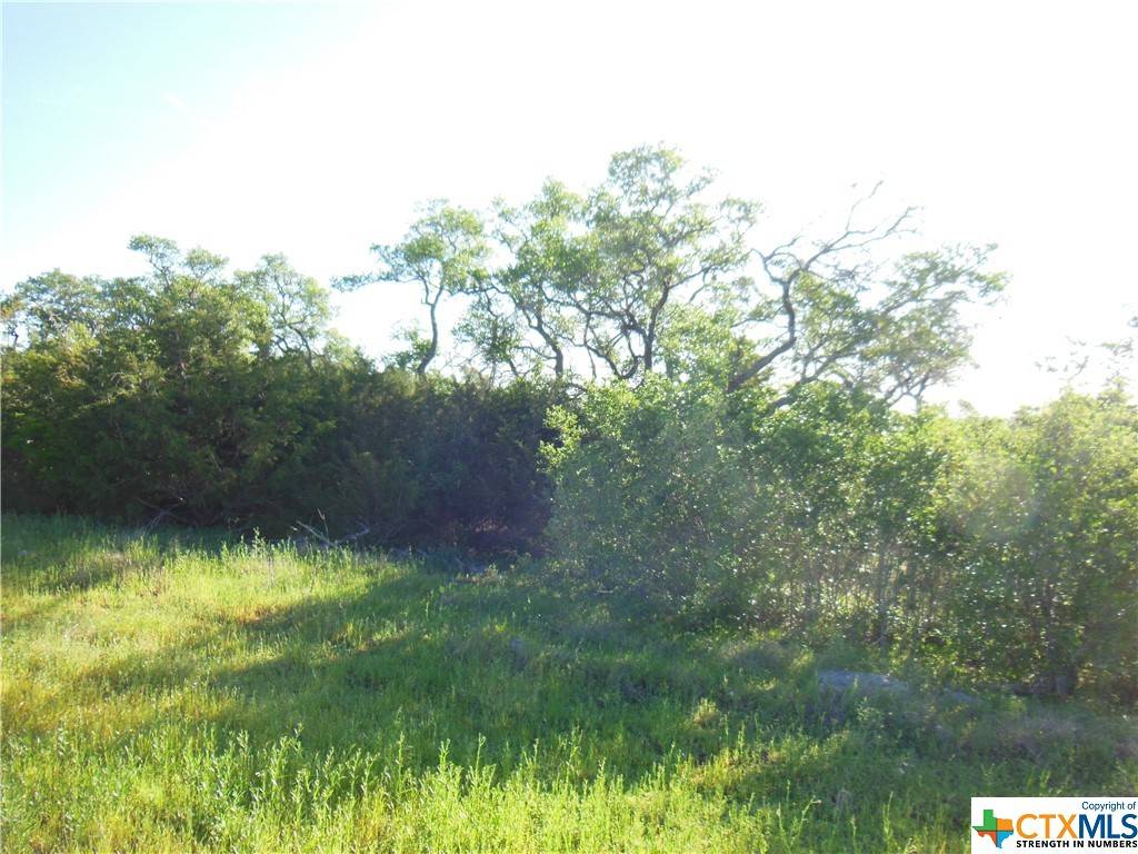 New Braunfels, TX 78132,5728 Copper FRST
