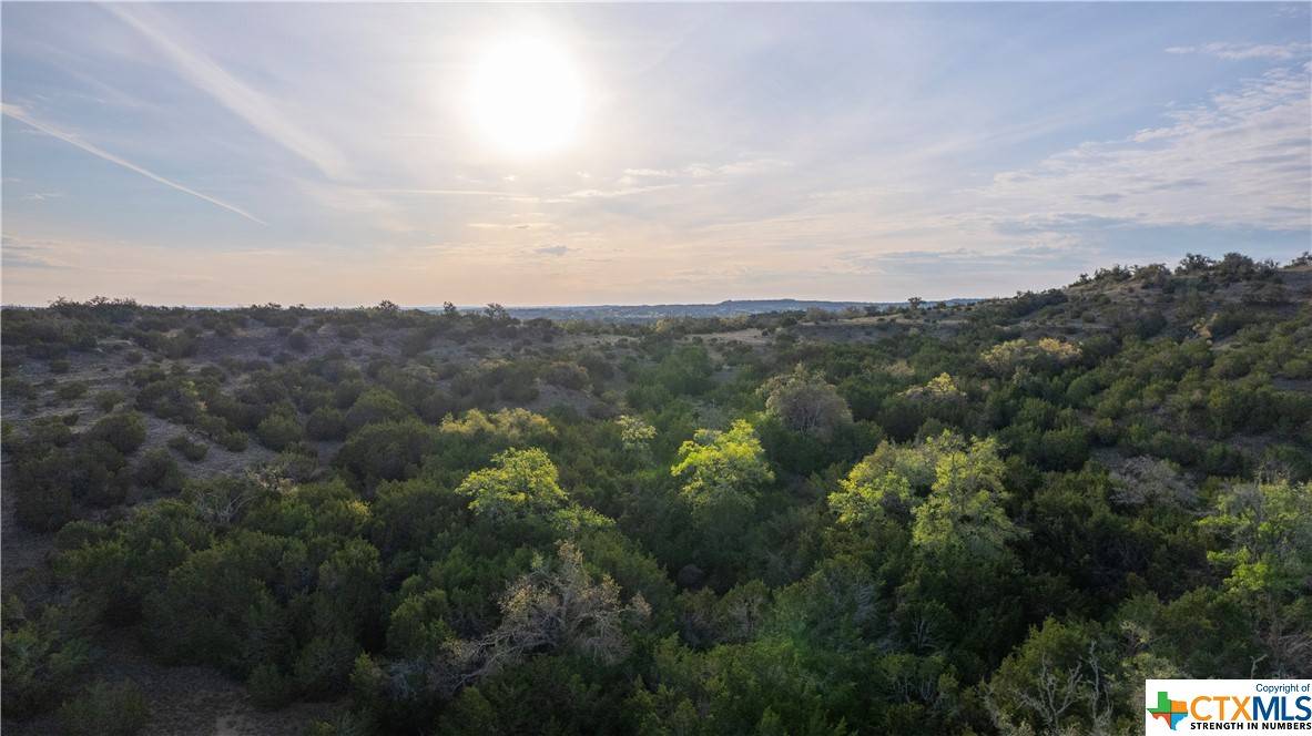Dripping Springs, TX 78620,TBD Bell Springs RD