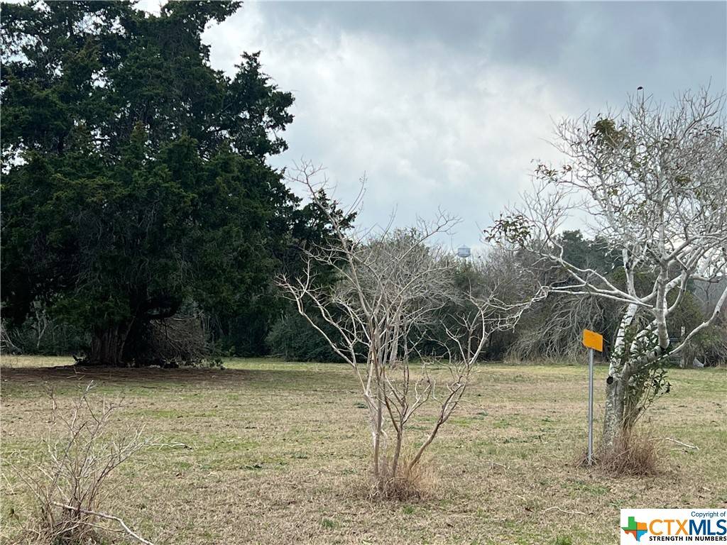 Yoakum, TX 77995,TBD US Hwy 77A South #A