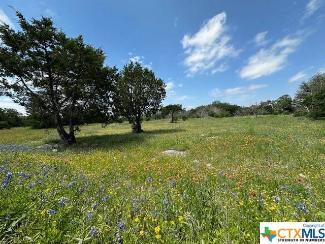 Horseshoe Bay, TX 78657,0 TBD Whitetail Rd