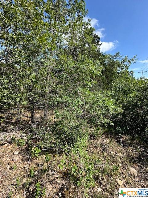 Smithville, TX 78957,0 TBD Tejas St