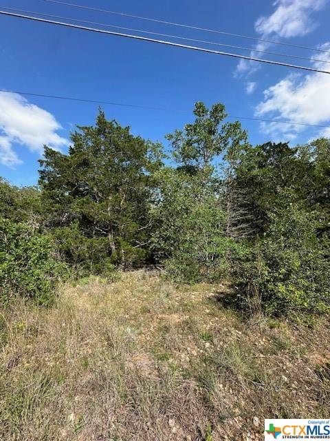 Smithville, TX 78957,0 TBD Tejas St