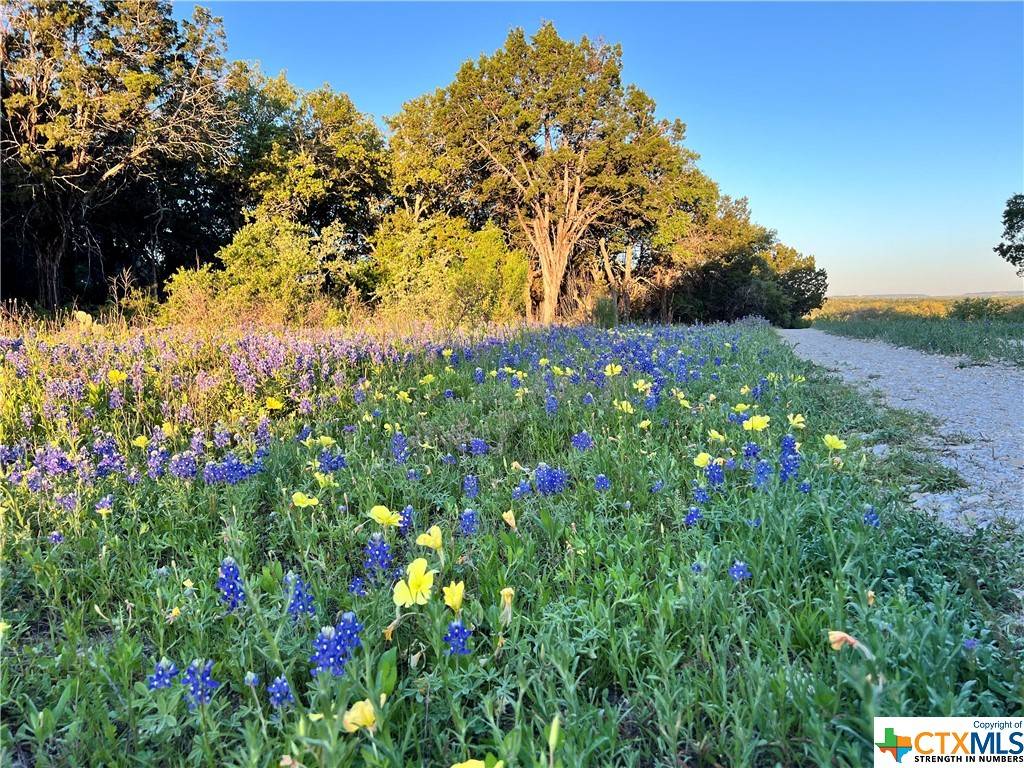 Copperas Cove, TX 76522,1817 Lutheran Church RD
