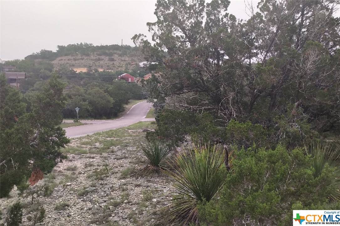 Canyon Lake, TX 78133,259 VALLEY RIDGE