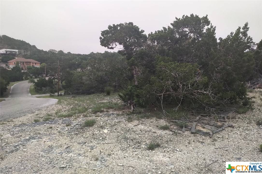 Canyon Lake, TX 78133,259 VALLEY RIDGE
