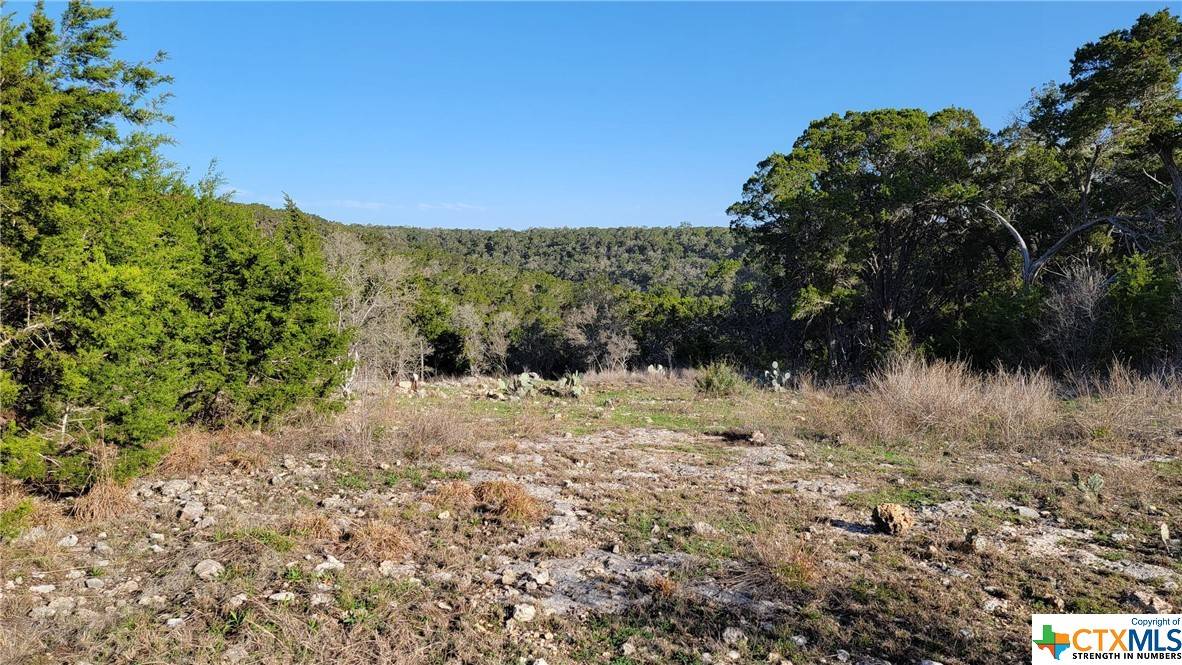 Wimberley, TX 78676,751 Bluffview DR