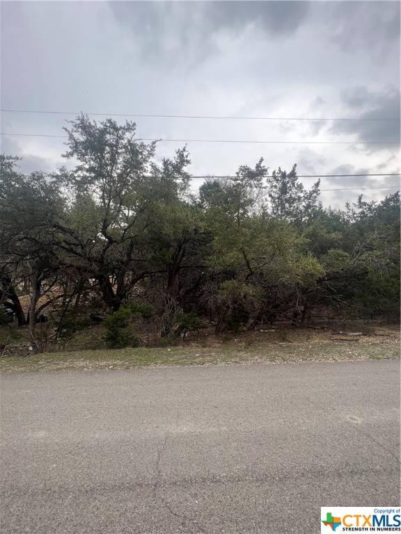 Canyon Lake, TX 78133,809 Scenic RUN