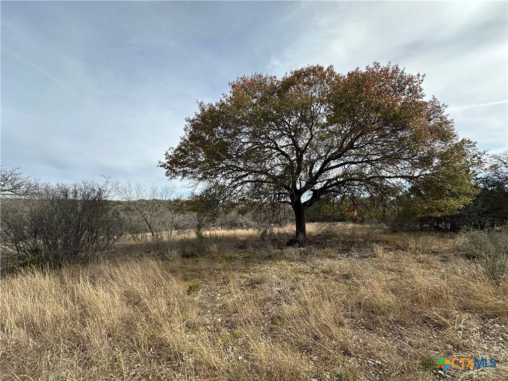 Lampasas, TX 76550,TBD PR 1377