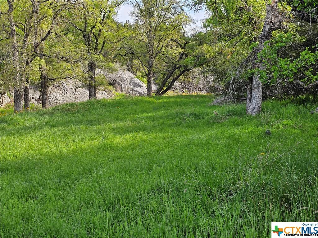 Lampasas, TX 76550,TBD PR 1377 RD