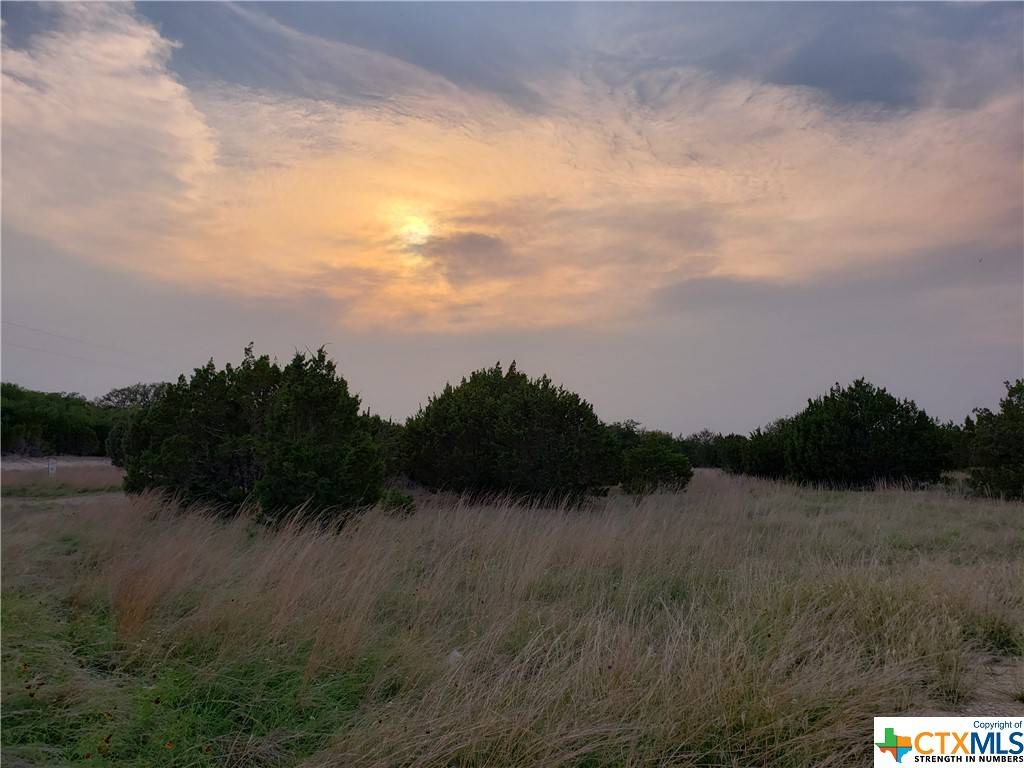 Copperas Cove, TX 76522,Lot 14 Lindorbet RD