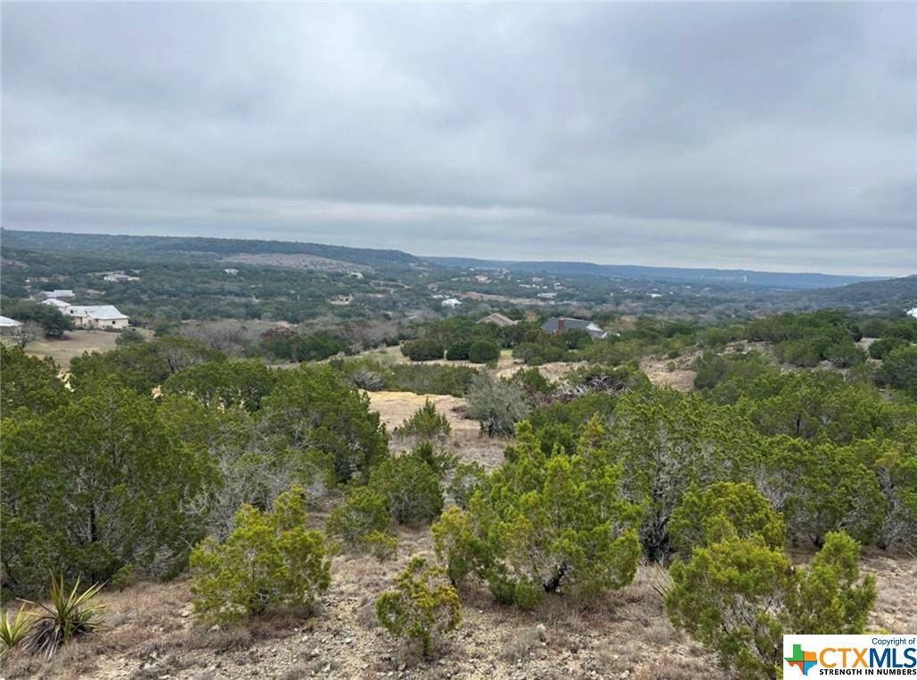 Bertram, TX 78605,Lot 28 W Chaneys XING