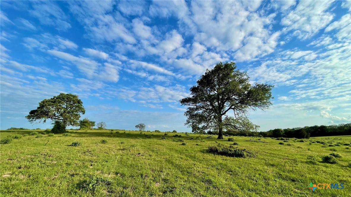 Bremond, TX 76629,14129 Vitera Sand Road
