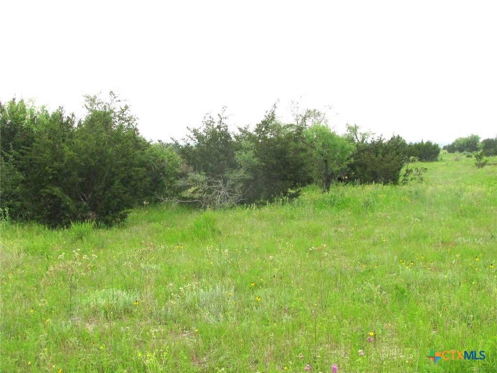 Hamilton, TX 76531,Lot N31 PR 2902