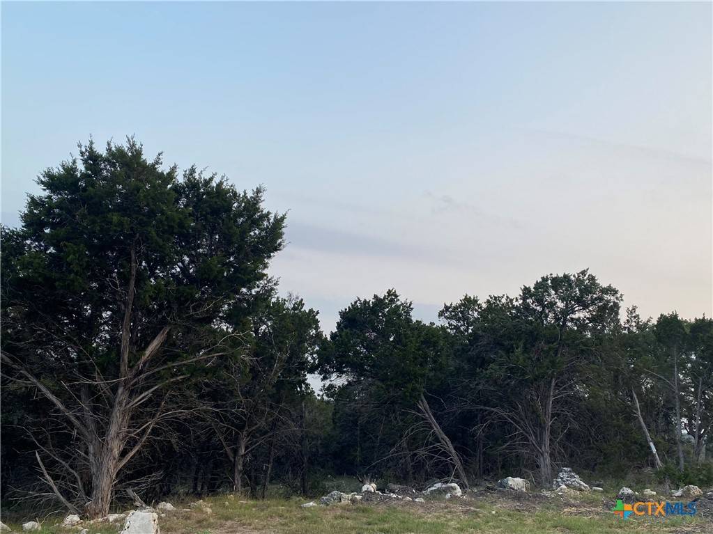 New Braunfels, TX 78132,5663 Basilone RDG