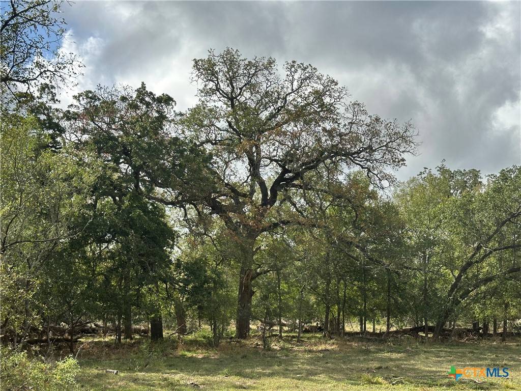 Luling, TX 78648,650 Coastal Lane