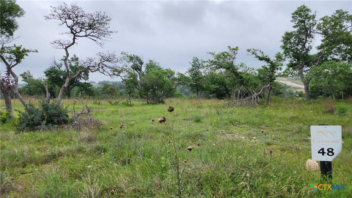 Fredericksburg, TX 78624,Lot 48 Ridgeline RD