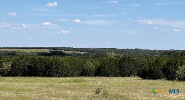 Lampasas, TX 76550,103 High View LN
