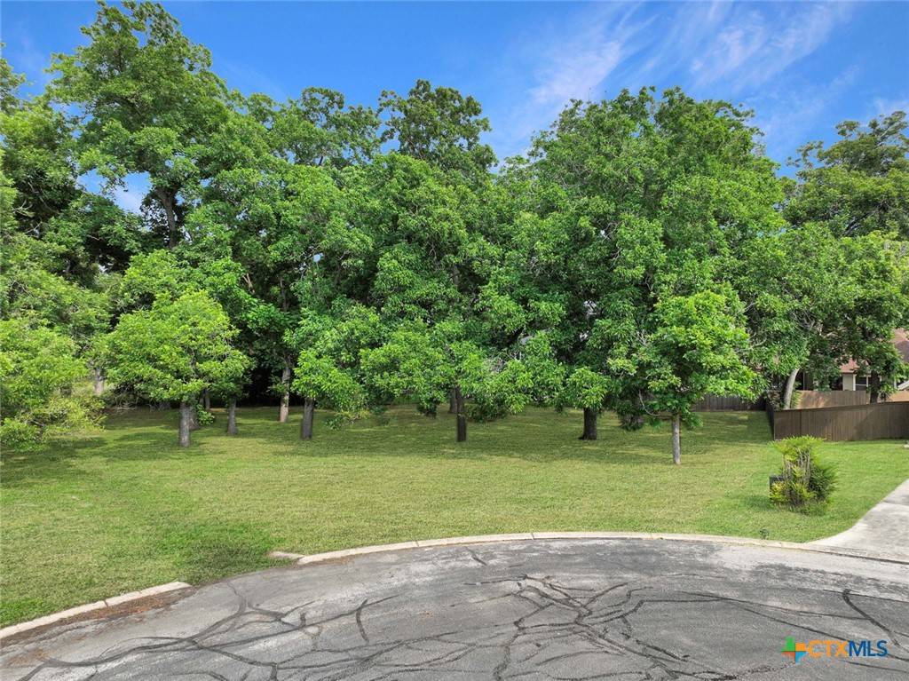 Seguin, TX 78155,130 Milagros